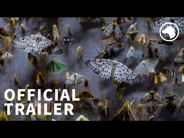 Nocturnes documentary