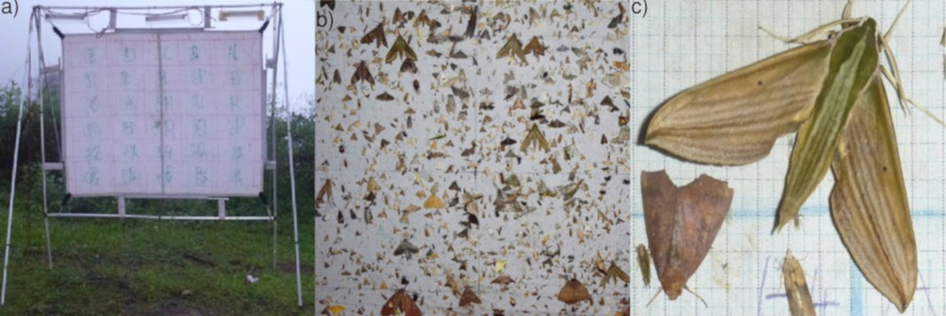 Ecological data and field research